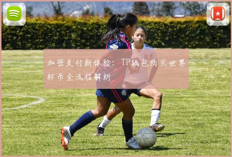 加密支付新体验：TP钱包购买世界杯币全流程解析