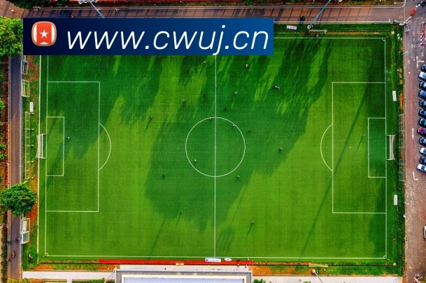 乐竞电竞官网首页发展历程